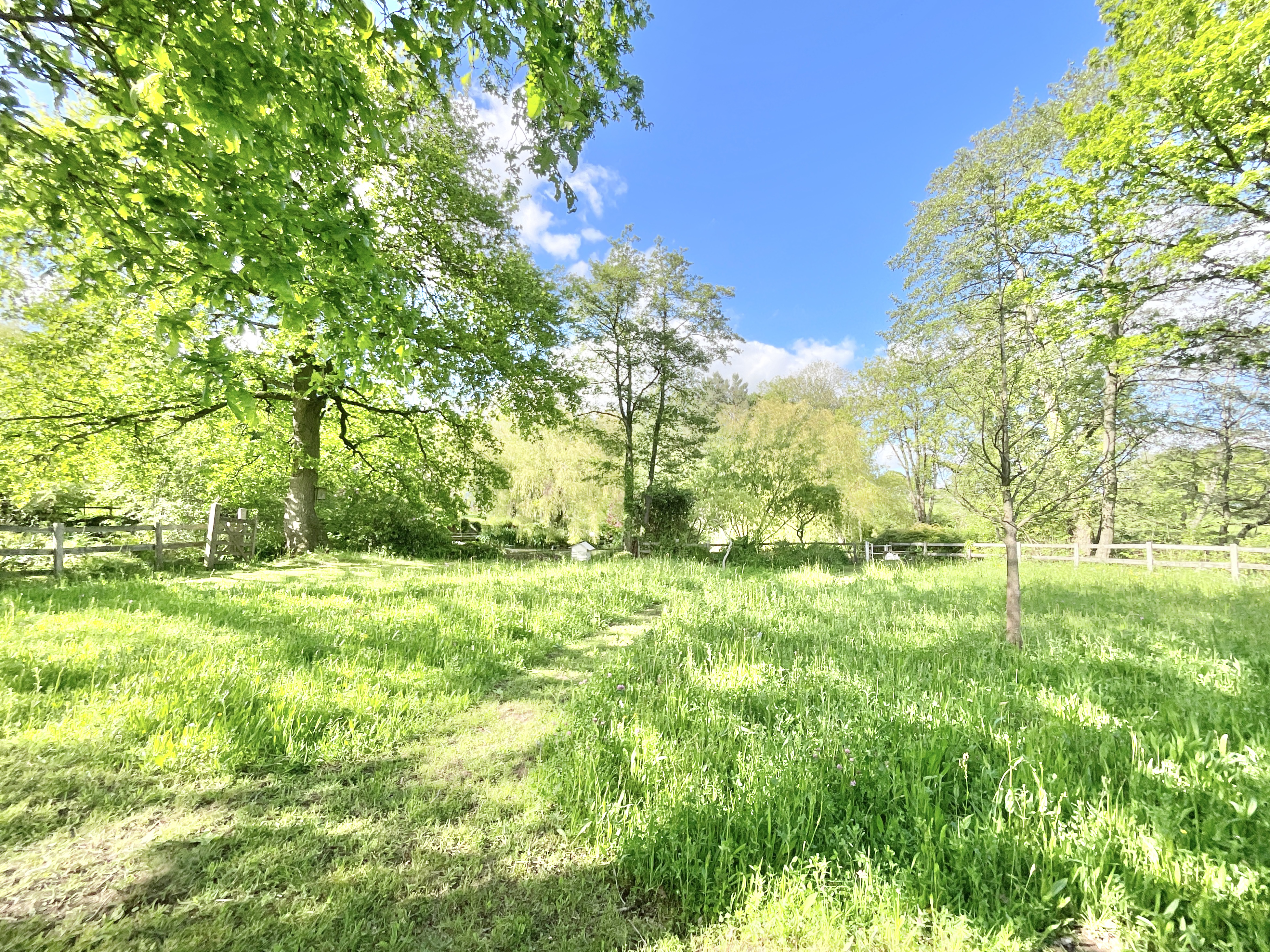 Lockley Wood, Market Drayton, TF9, photo 45