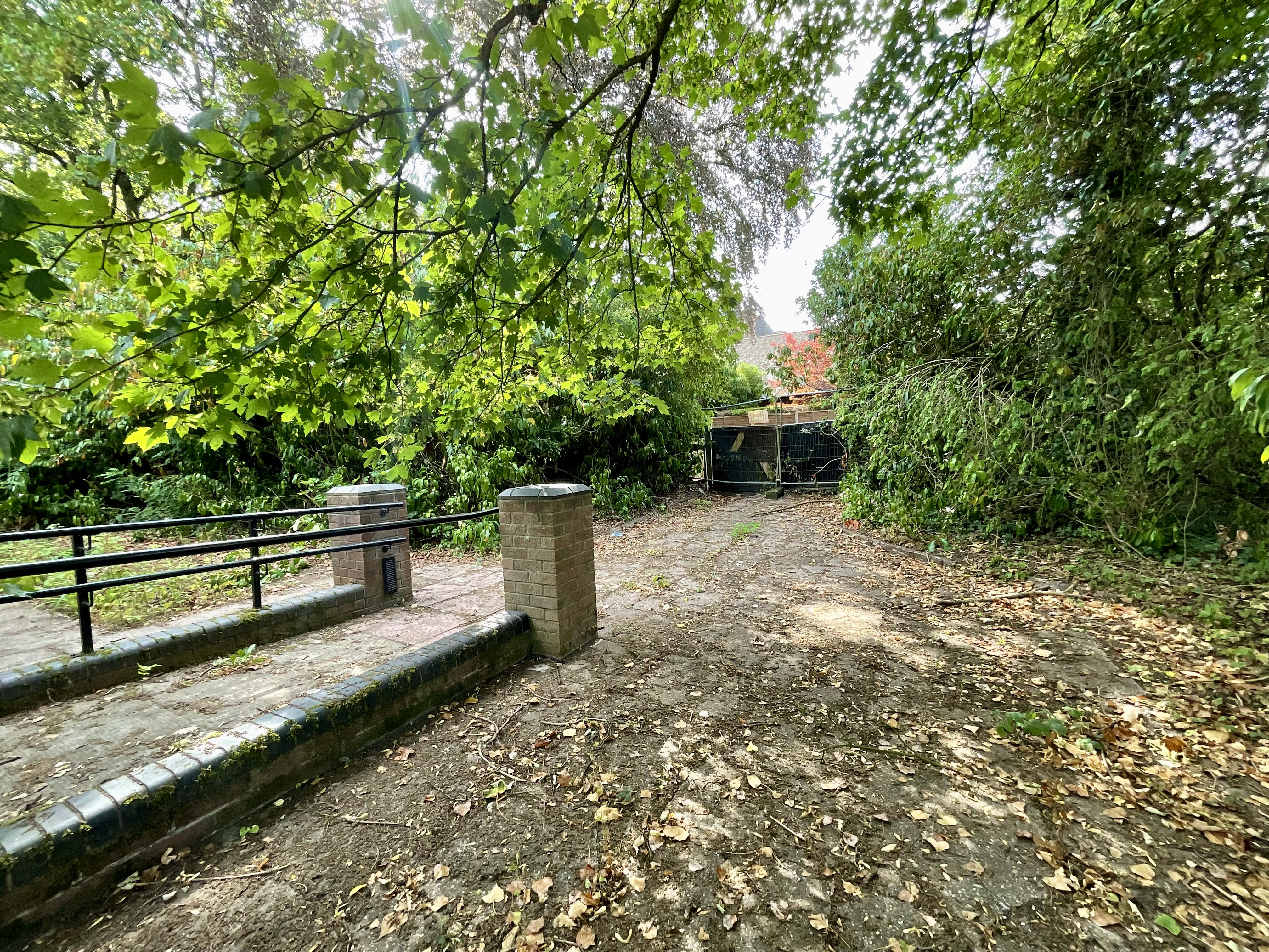 Photo 17