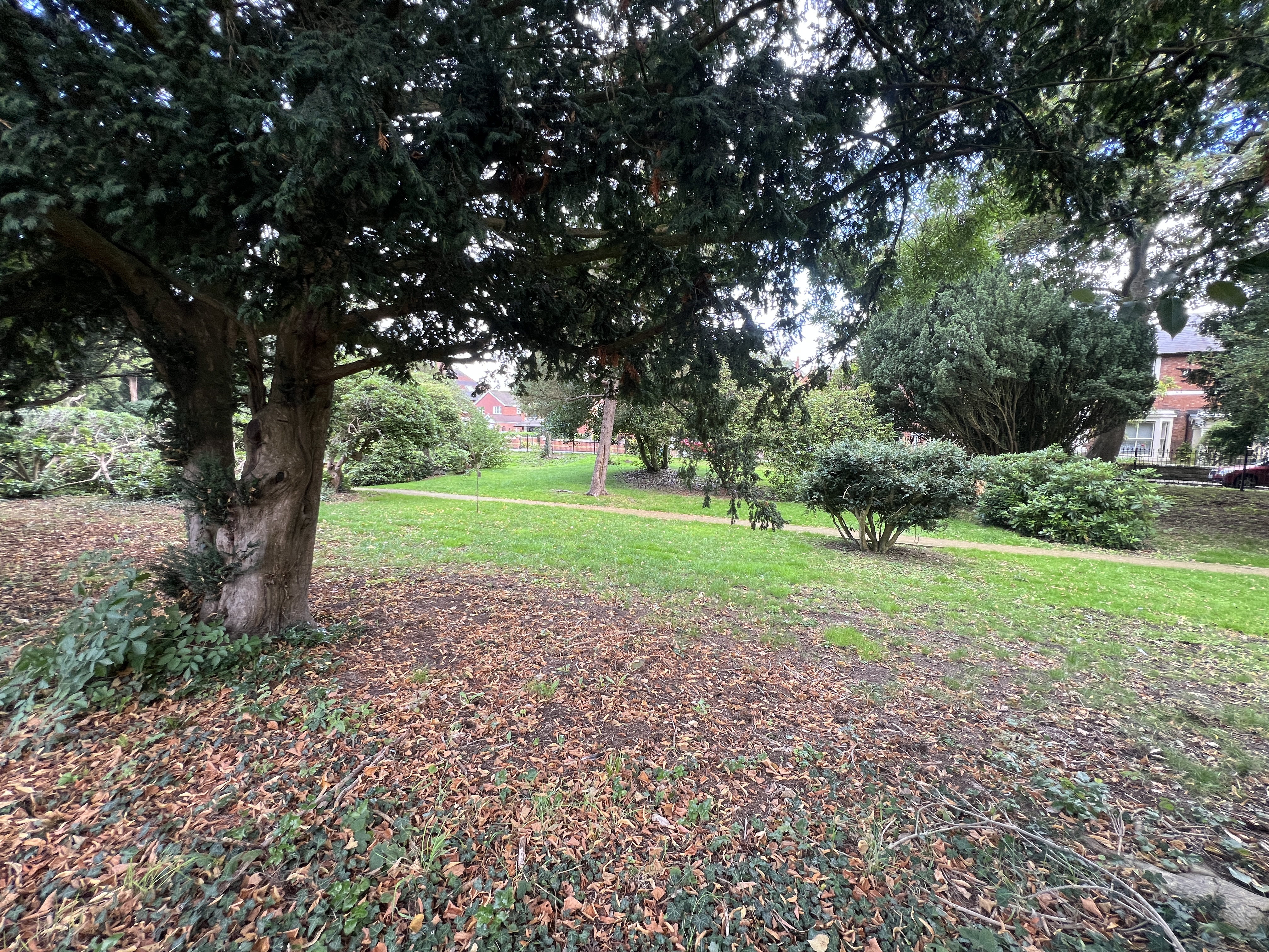 Photo 45