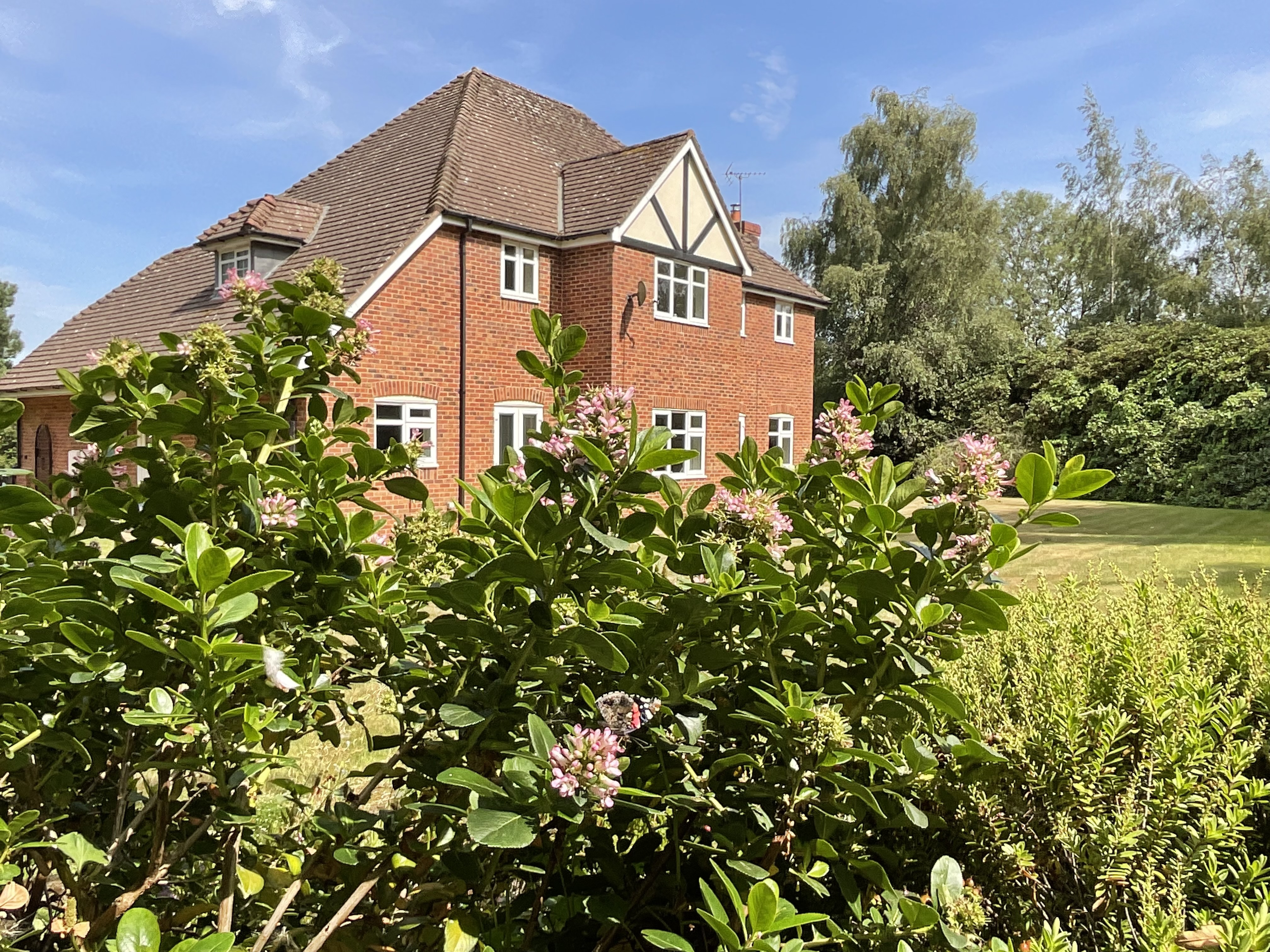 Nightingale Walk, Blythe Bridge, ST11, photo 28