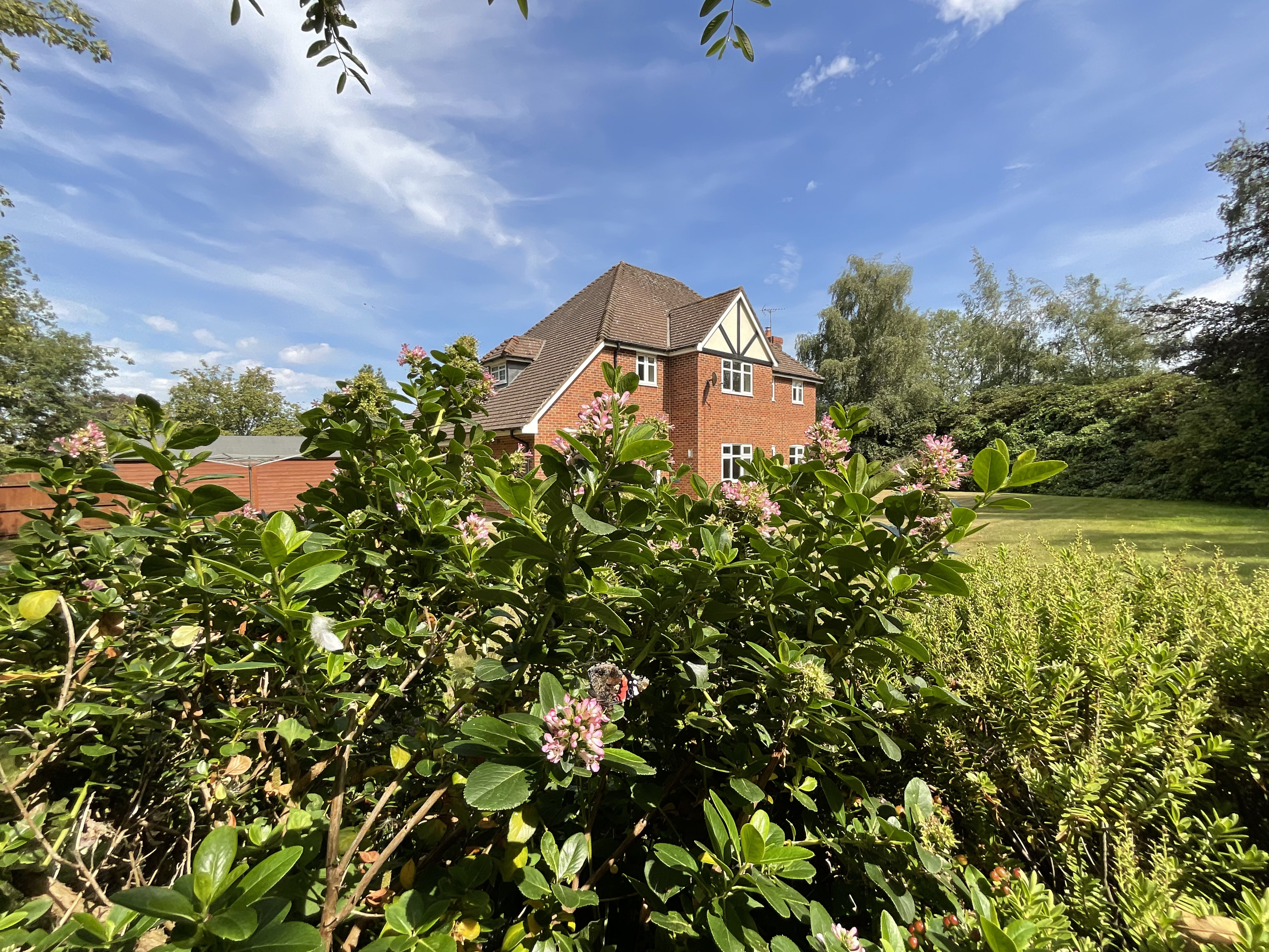 Nightingale Walk, Blythe Bridge, ST11, photo 50