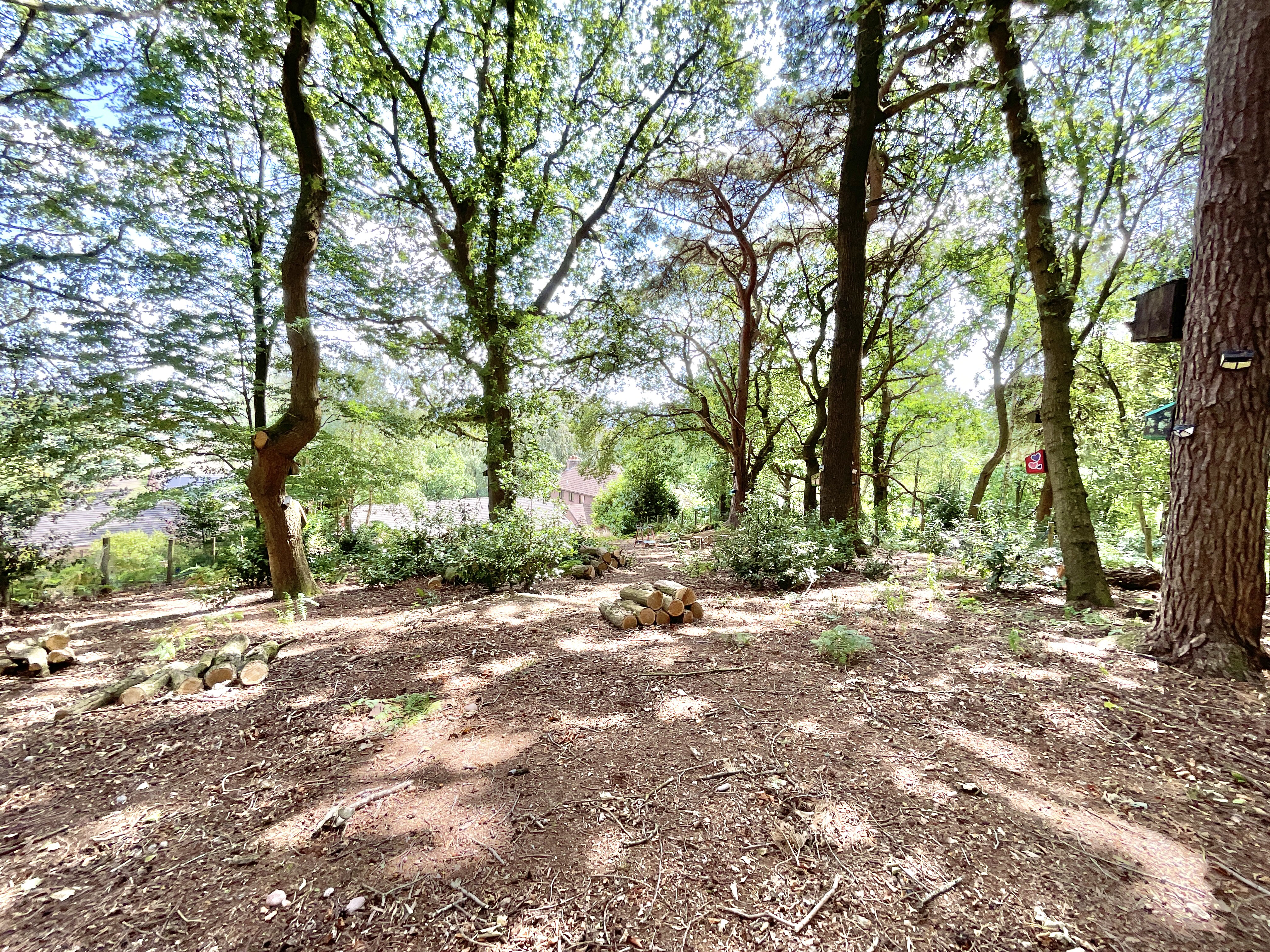 Southwood, Baldwins Gate, ST5, photo 37