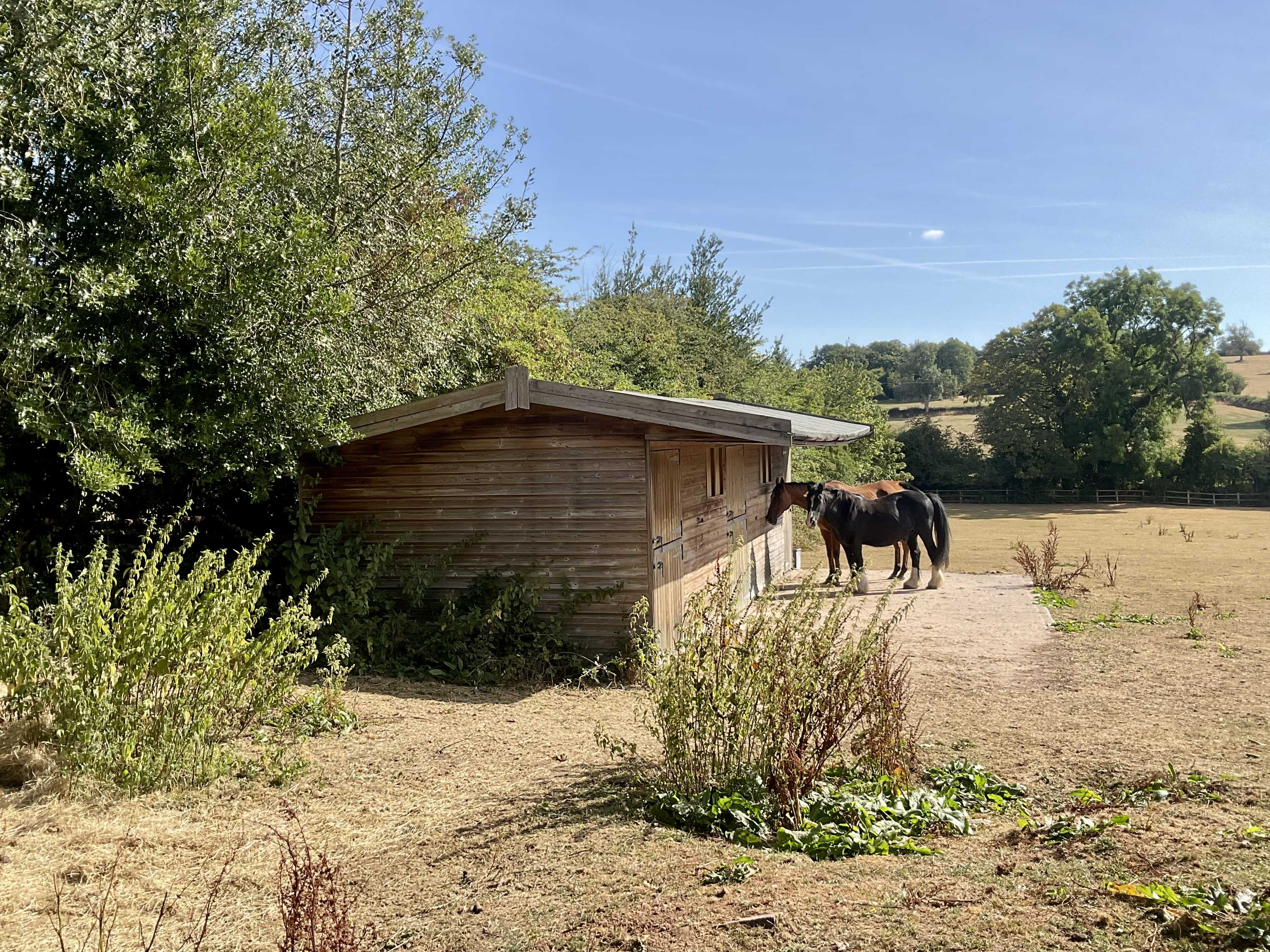 Coton, Milwich, ST18, photo 2