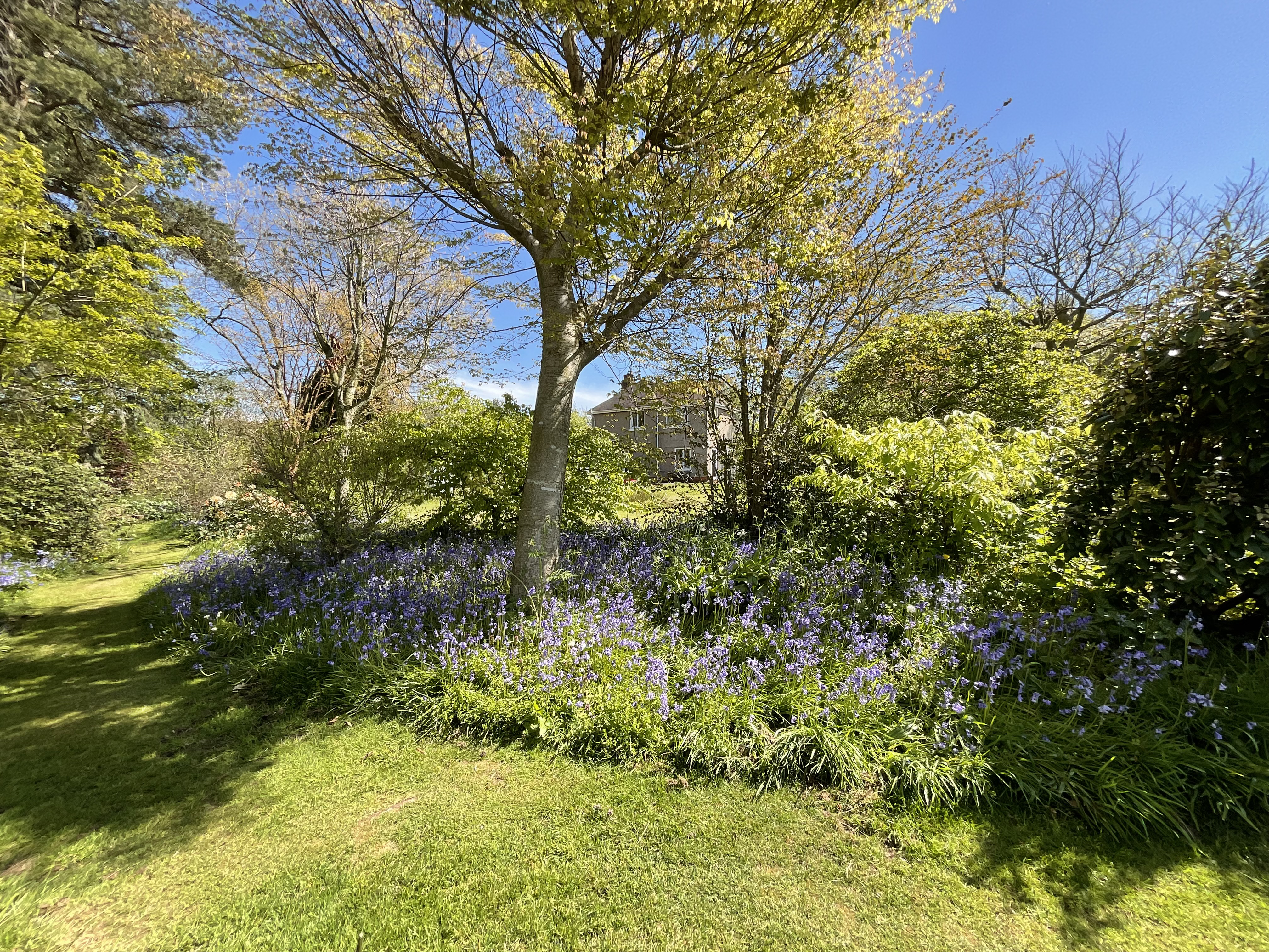 Common Lane, Stone, ST15, photo 35