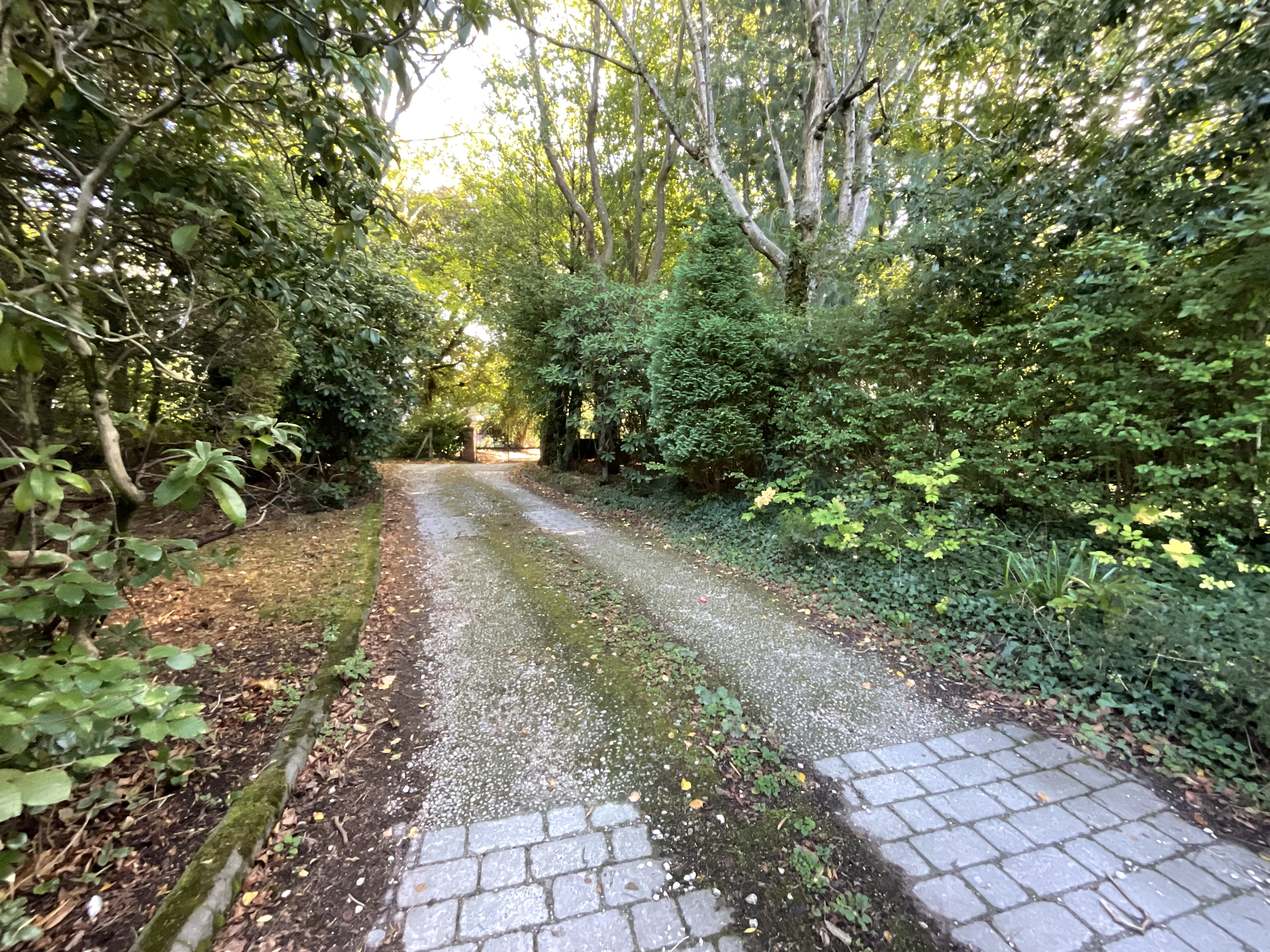 Sandy Lane, Newcastle, ST5, photo 33