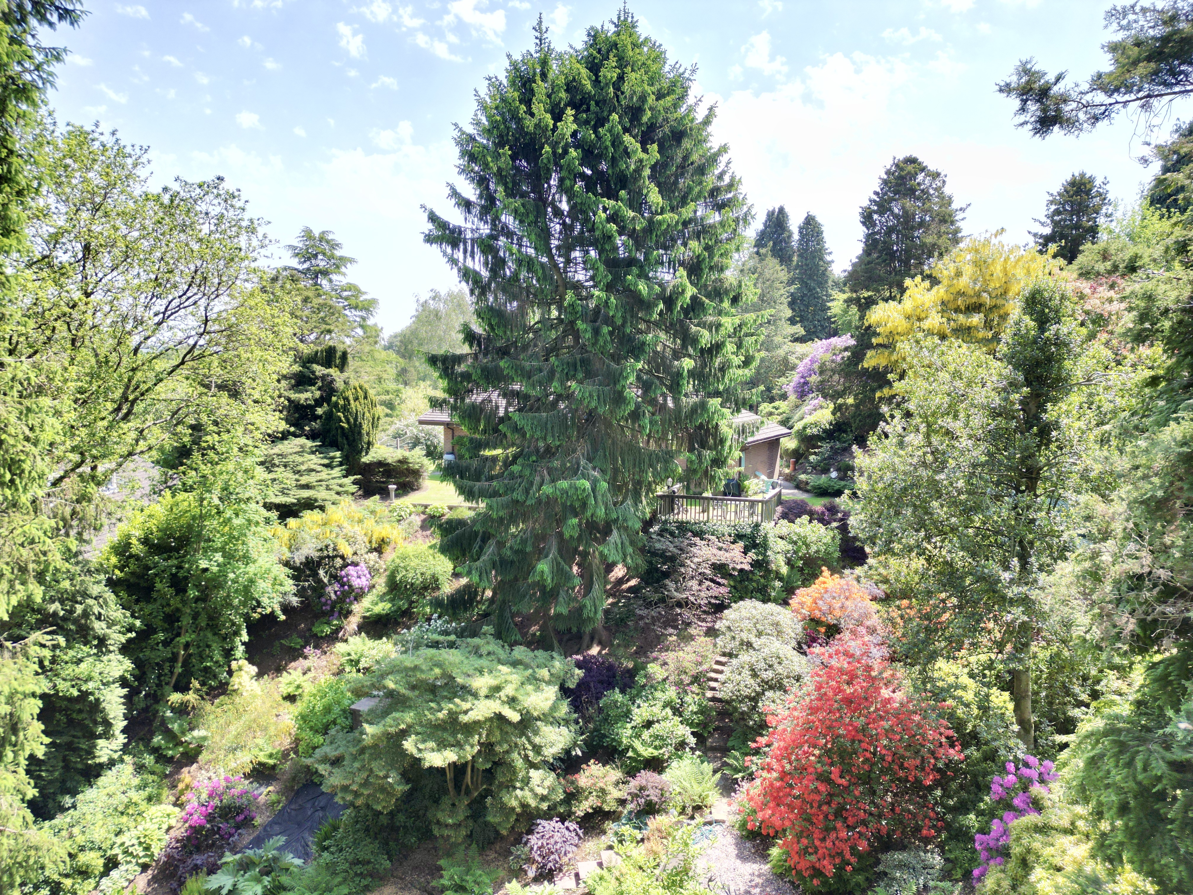 Park Wood Drive, Baldwins Gate, ST5, photo 23