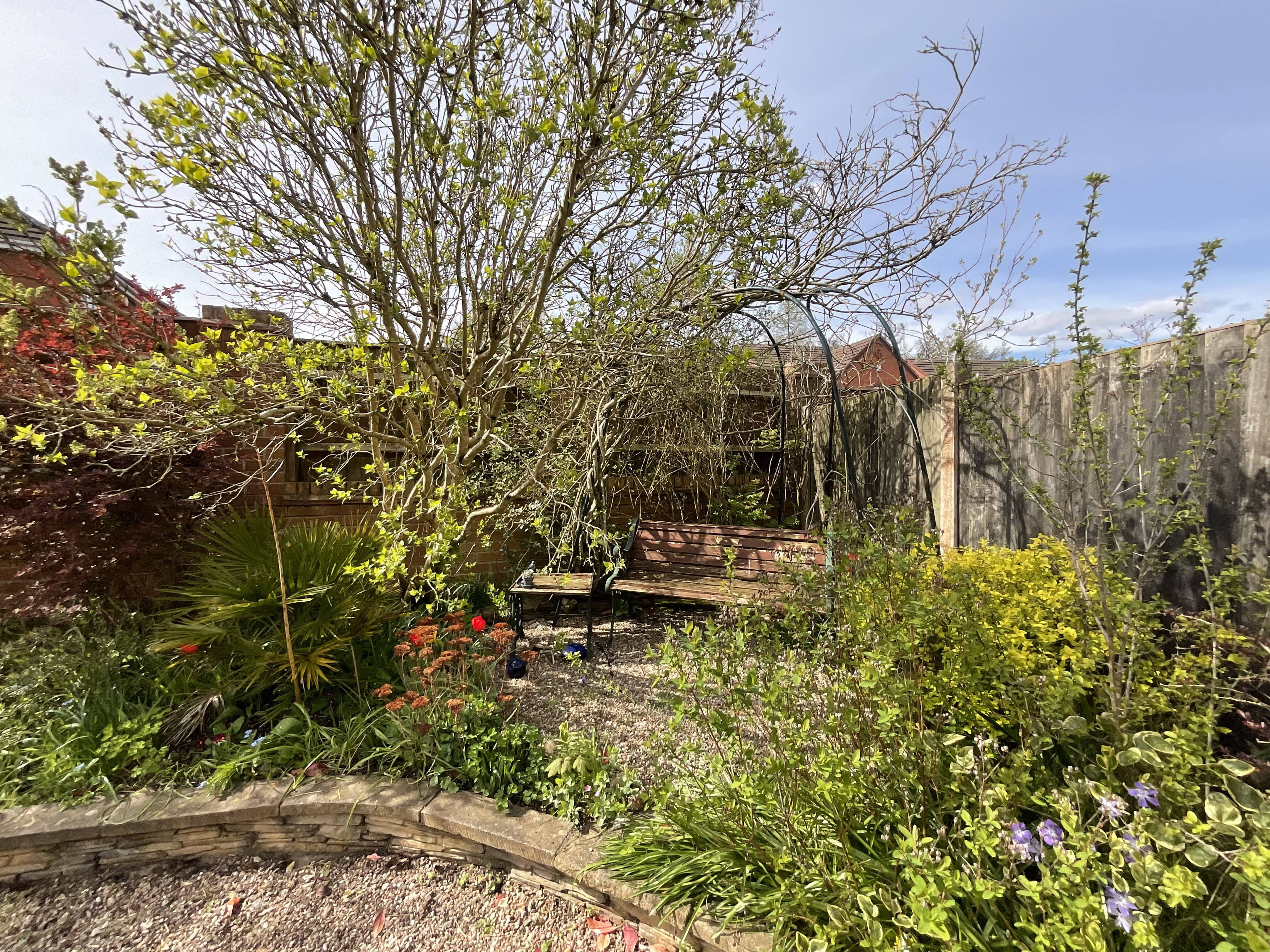 Arlington Way, Stoke-On-Trent, ST3, photo 28
