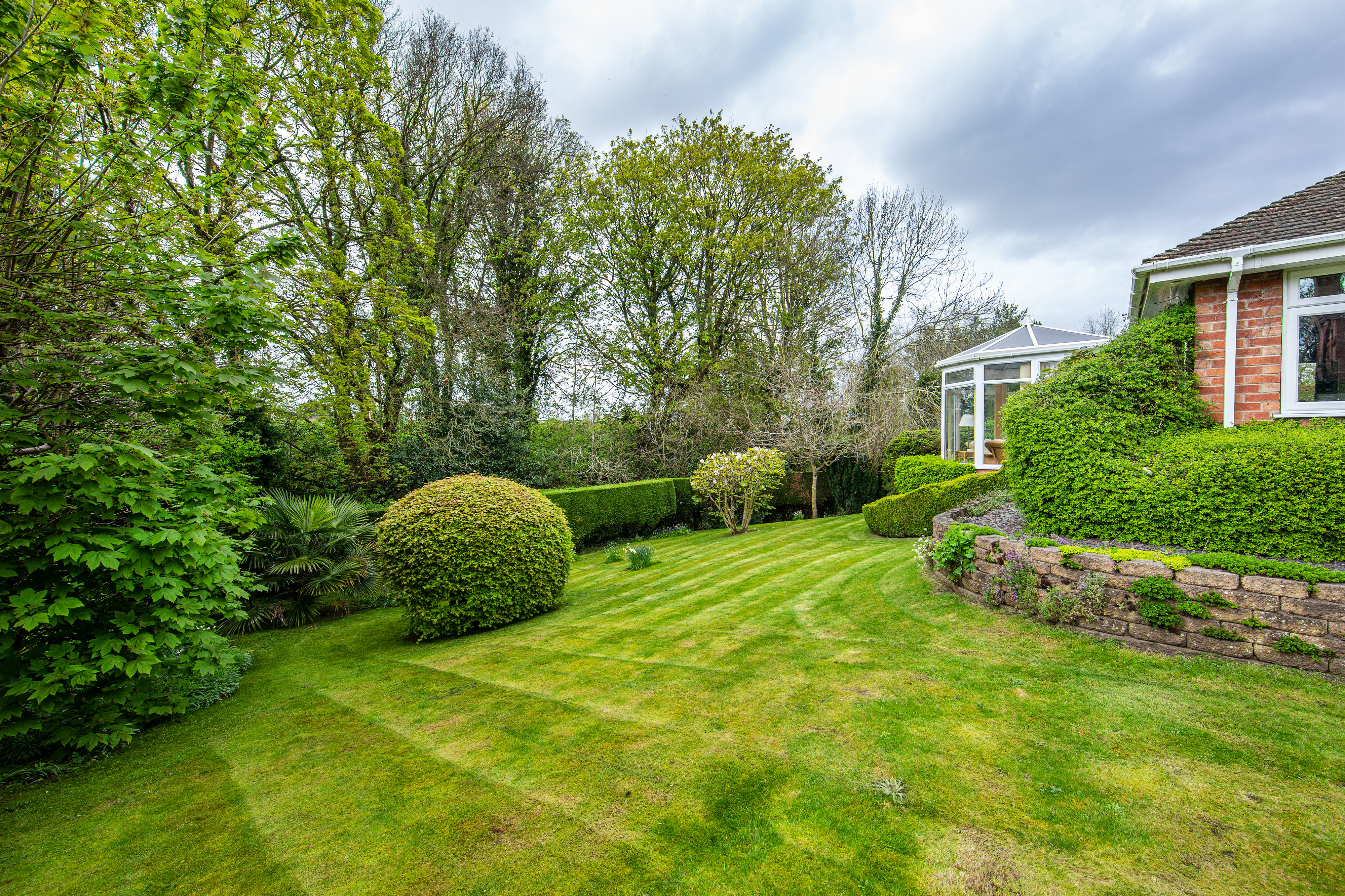 Garden 007