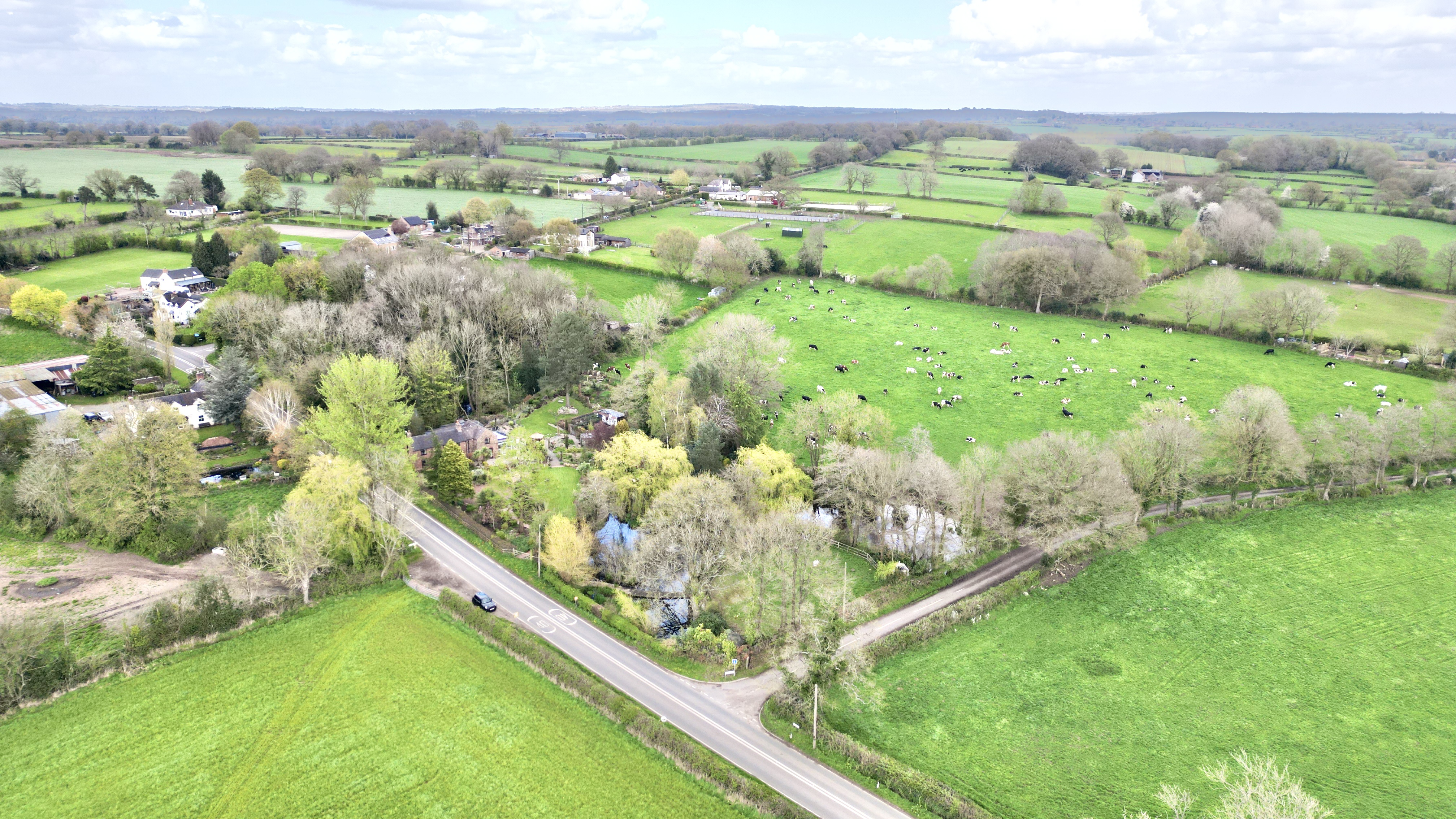 Lockley Wood, Market Drayton, TF9, photo 42