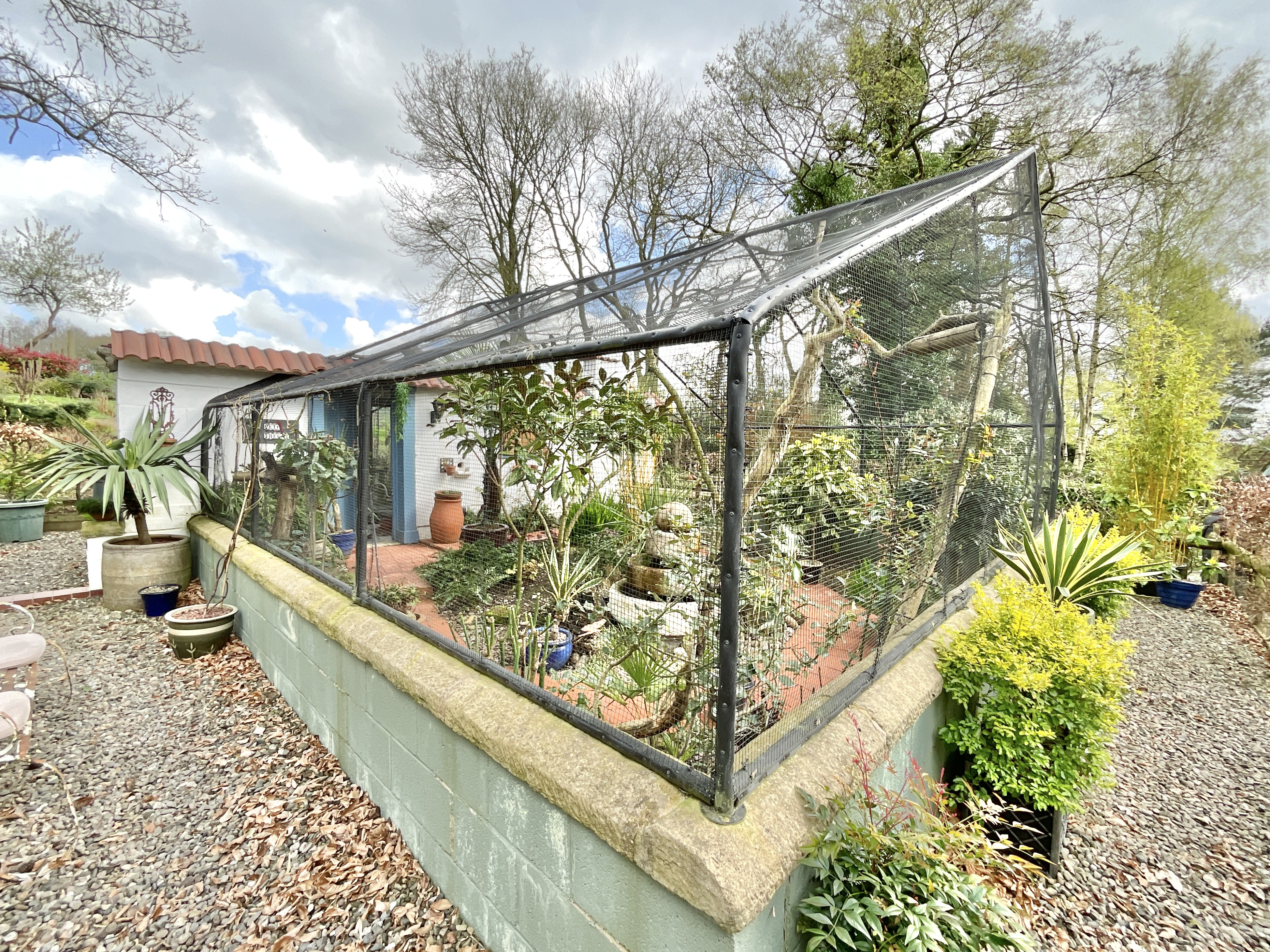Lockley Wood, Market Drayton, TF9, photo 28