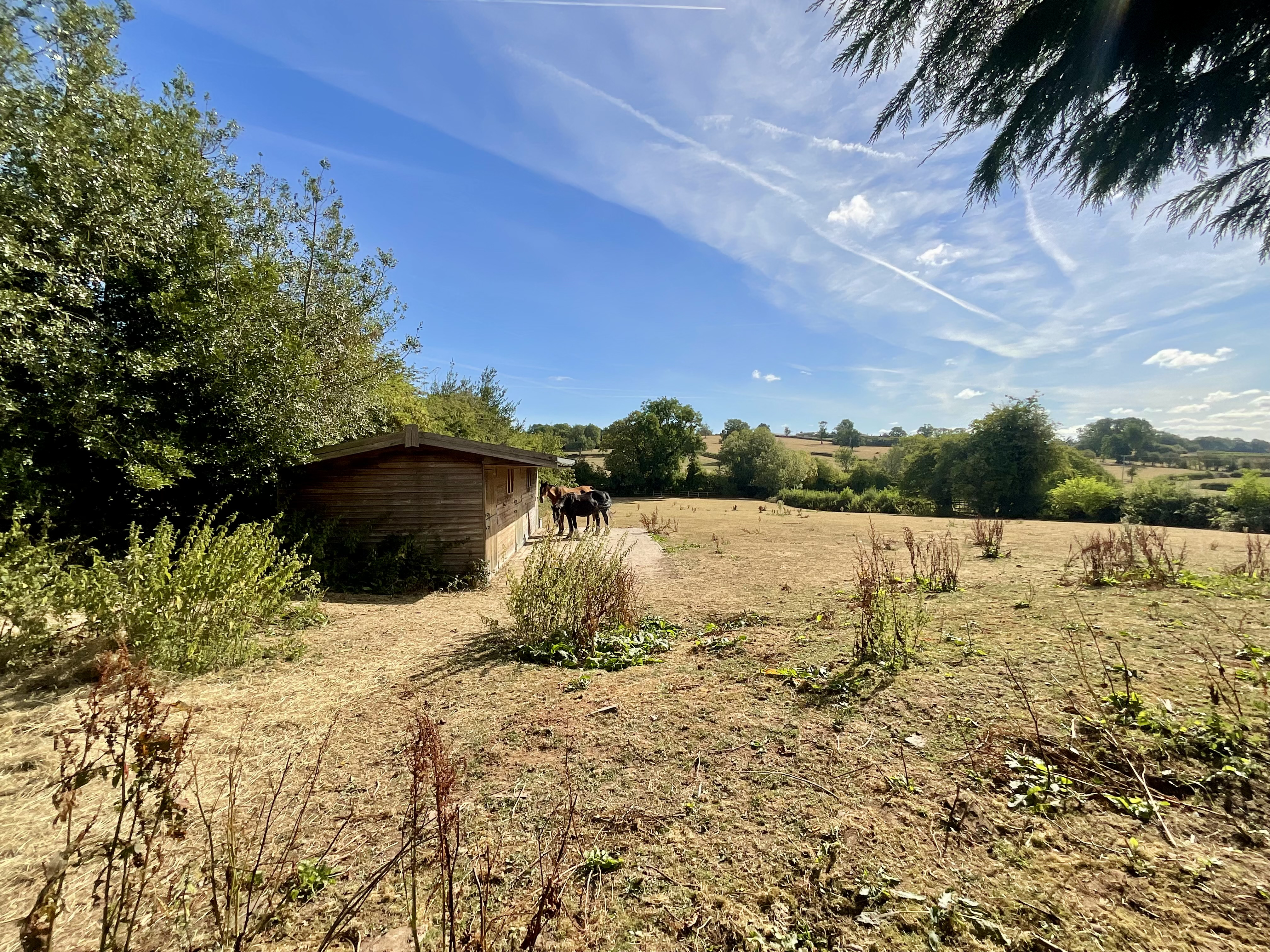 Coton, Milwich, ST18, photo 30
